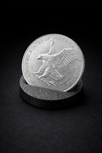 American Silver Eagle Coin Display Stand – Bulk Collector Pack