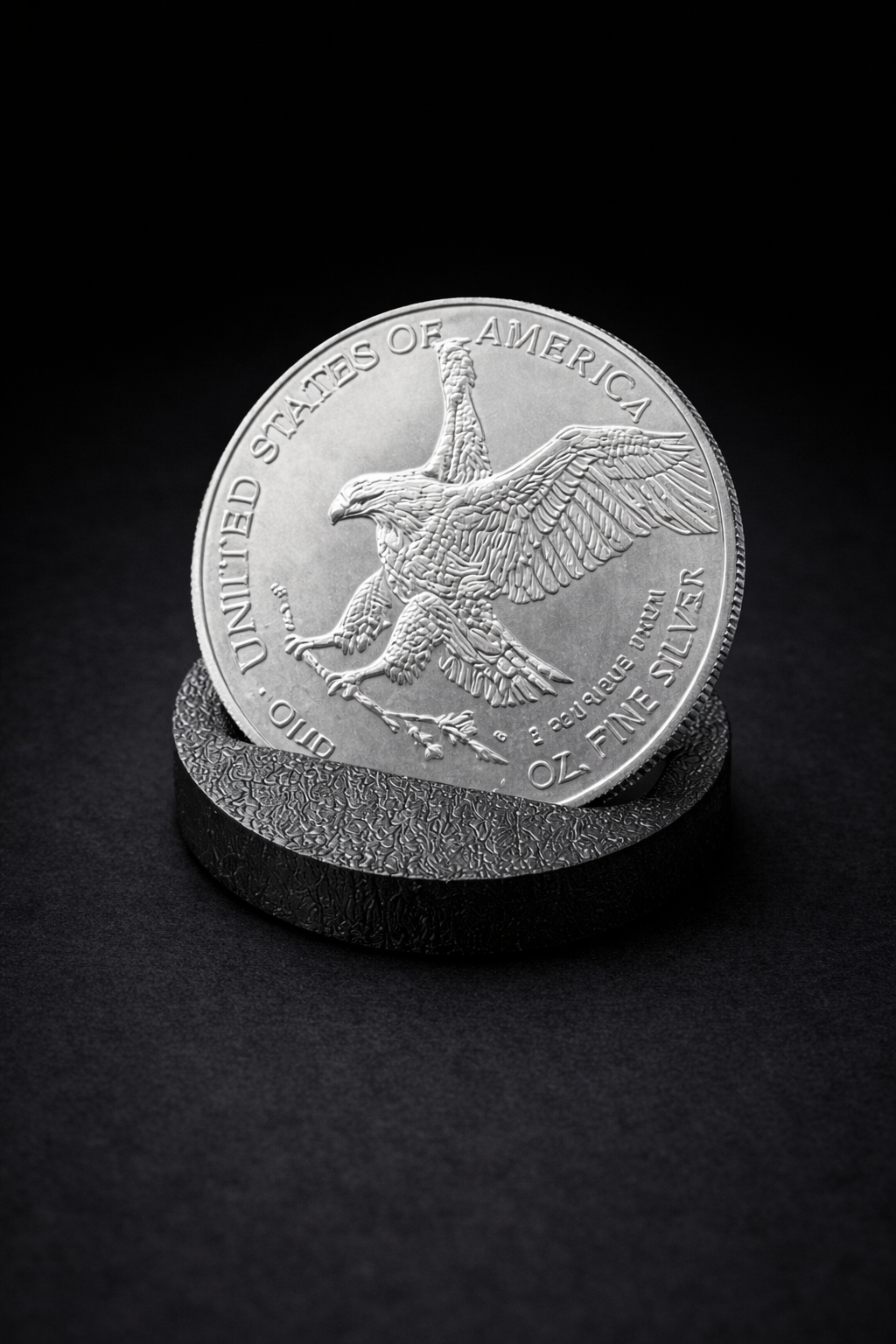 American Silver Eagle Coin Display Stand – Bulk Collector Pack