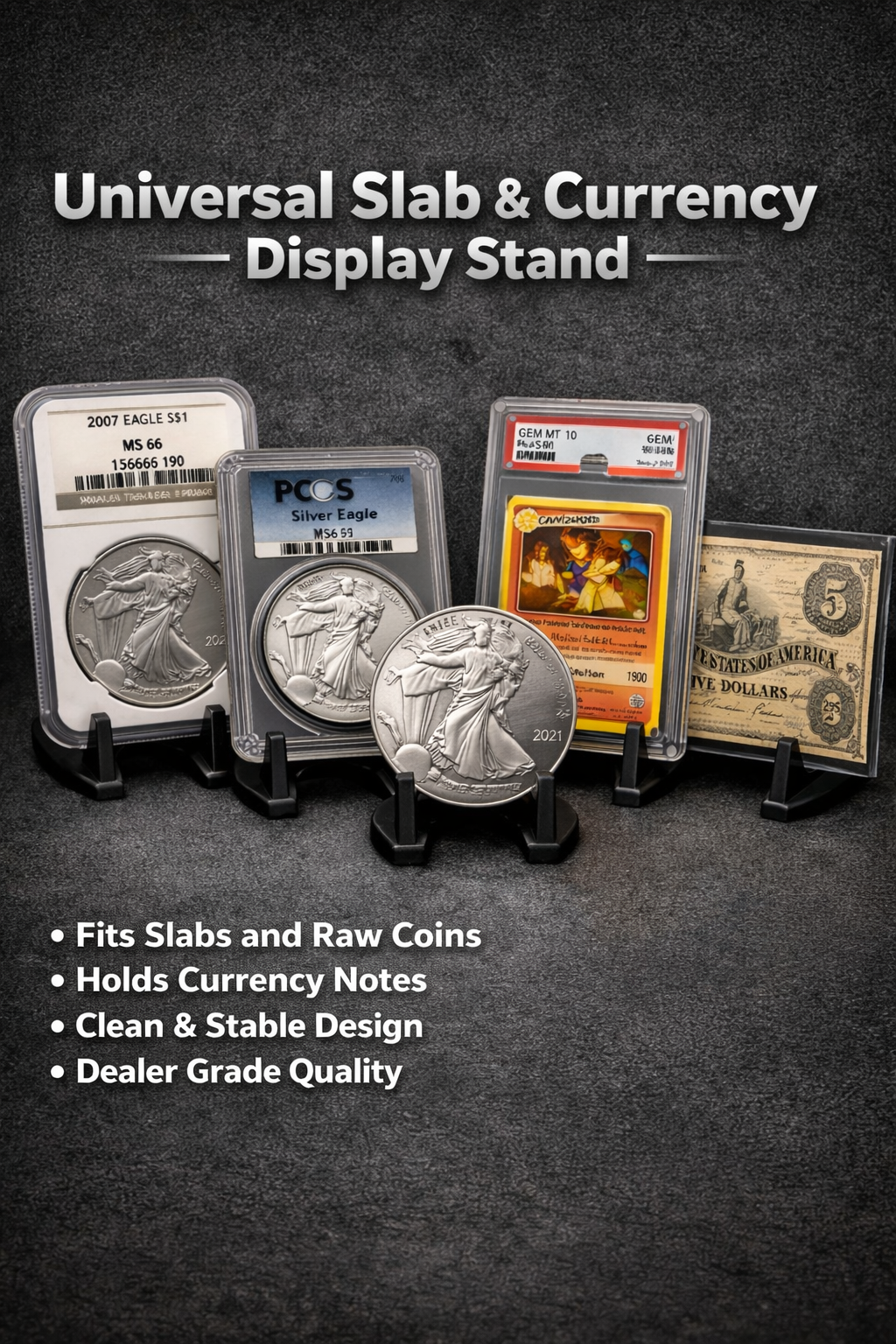 Universal Slab & Currency Display Stand